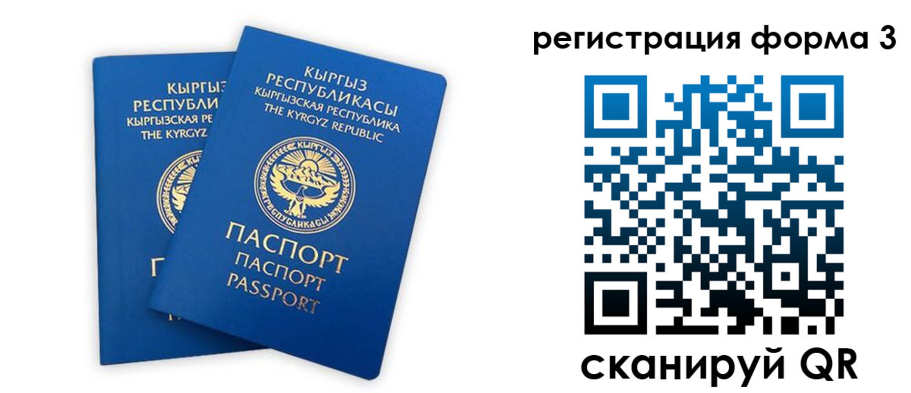 временная регистрация госуслуги в Барыше